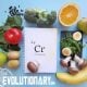 EVO-chromium-food