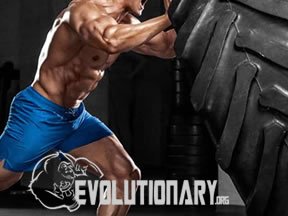 EVO-Depression and mood