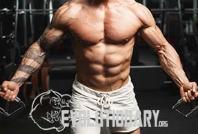 EVO-Fertility and Testosterone