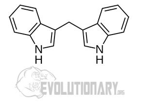 EVO-Formula-structure