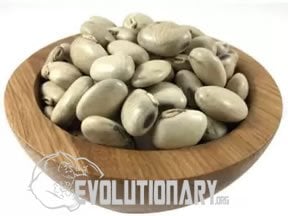 EVO-Mucuna pruriens Seeds