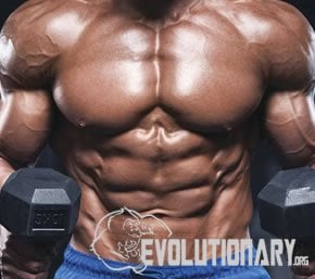 EVO-increase bone mineralization