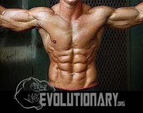 body fight cancer