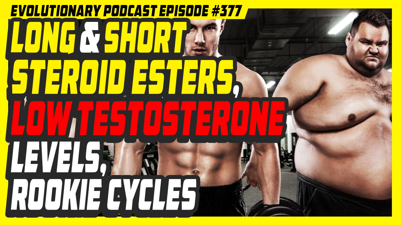 Evolutionary.org-Podcast-377-long-and-short-steroid-esterslow-testosteron-levelsrookie-cycles.jpg