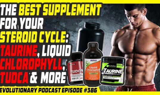 Evolutionary.org Podcast #386 The best supplement for your steroid cycle: taurine, liquid chlorophyll, TUDCA and many more.