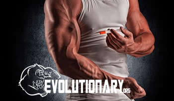 Steroid Cycle