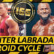 Steroid Cycle