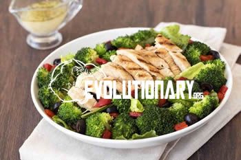 Diet