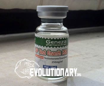Geneza Pharma