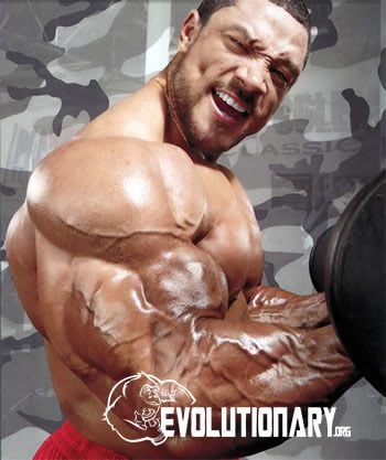 Roelly-Winklaar-arms