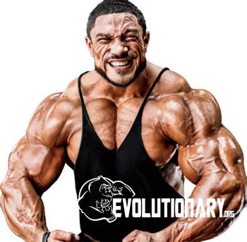 Roelly Winklaar