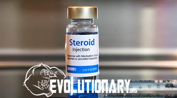 Steroid Cycle