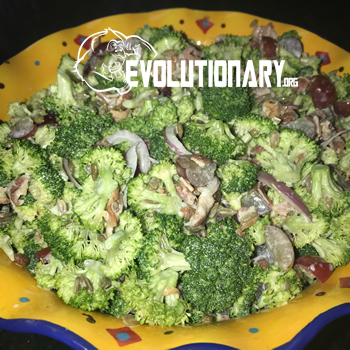 Nutrition