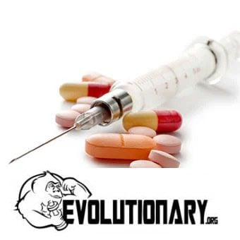 Steroid Cycle