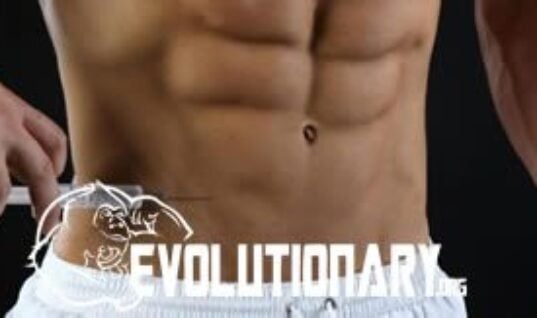 Steroid Cycle