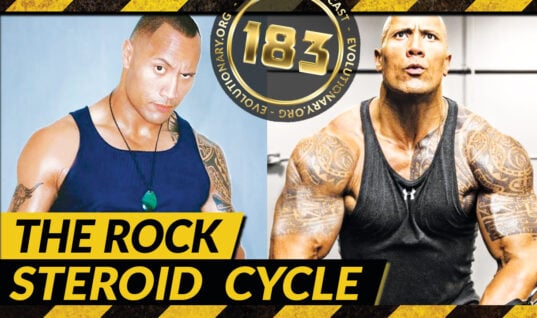 The Rock