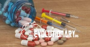Steroid Cycle