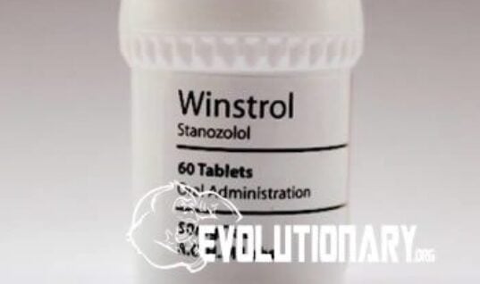 Winstrol