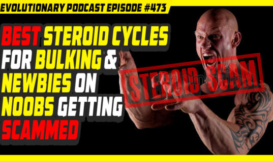 steroid cycles