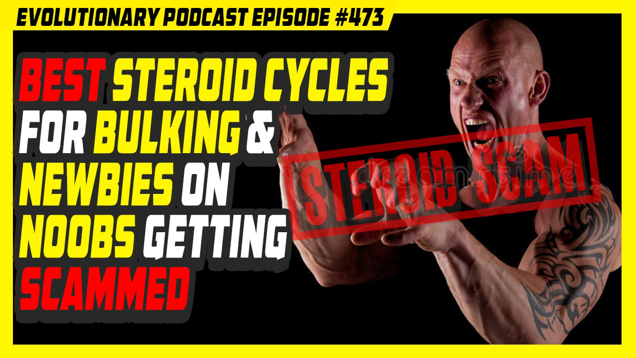 Evolutionary.org-473-Best-Steroid-Cycles-for-Bulking-and-Newbies-on-N00bs-getting-scammed.jpg