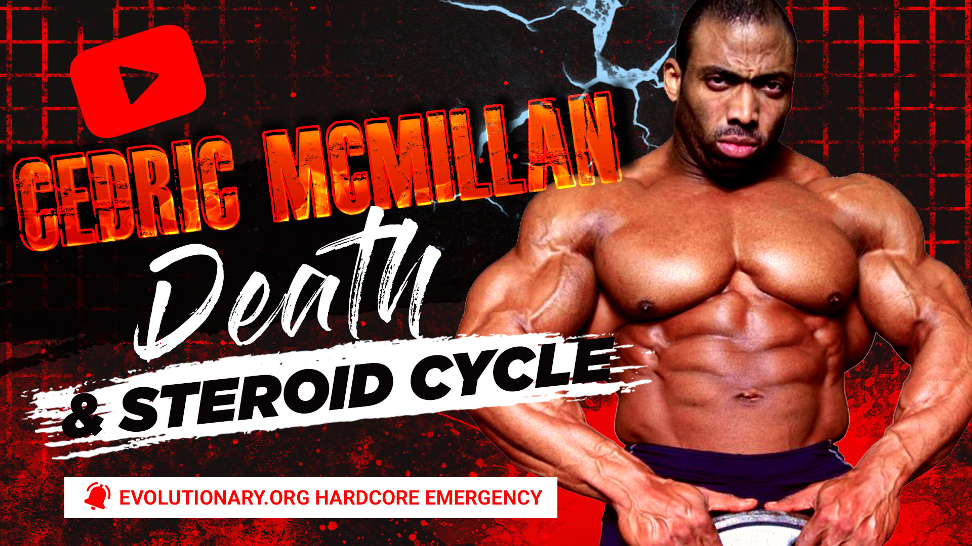 Evolutionary.org-Emergency-6-Cedric-McMillan-Death-and-Steroid-Cycle.jpg