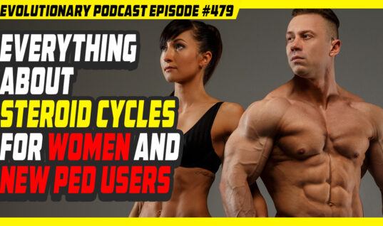 steroid cycles