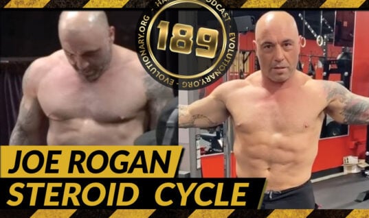 steroid cycle