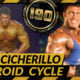 steroid cycle