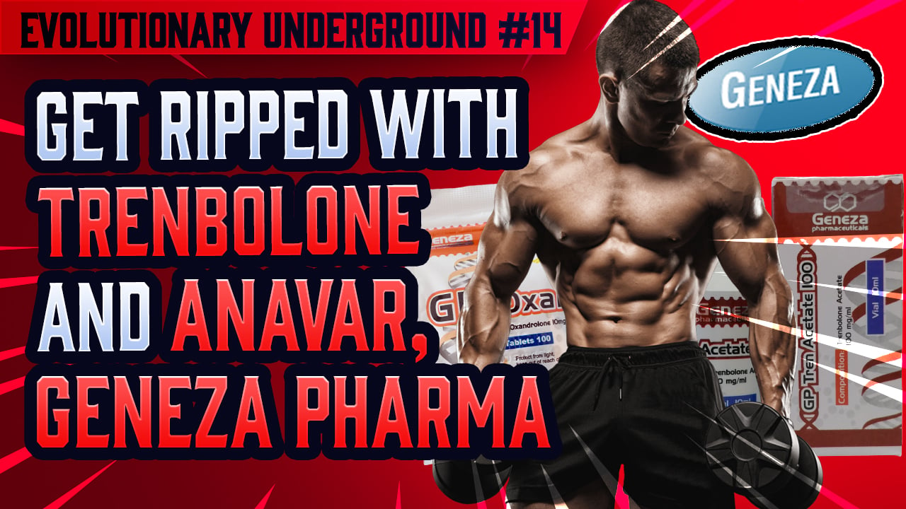 Evolutionary.org-Underground-14-Get-Ripped-with-Trenbolone-and-Anavar-Geneza-Pharma.jpg