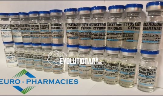 Sustanon and Deca Durabolin Bulk – Euro Pharmacies