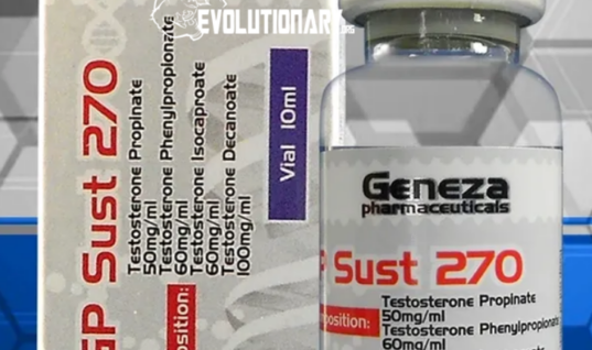 Sustanon Dianabol Bulking – Geneza Pharma