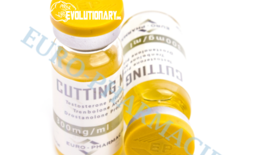 Get Cut get Abs New Years Resolution Cycles – Euro Pharmacies