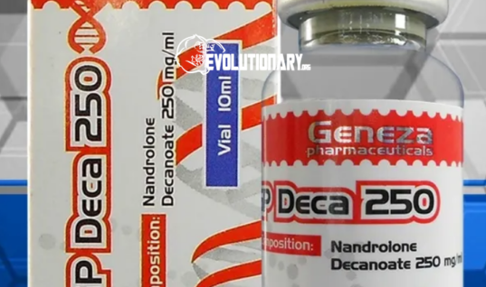 Summer Arnold Arms and Abs with Geneza Pharma
