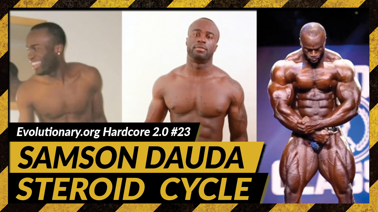steroid cycle