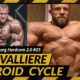 steroid cycle