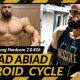 steroid cycle