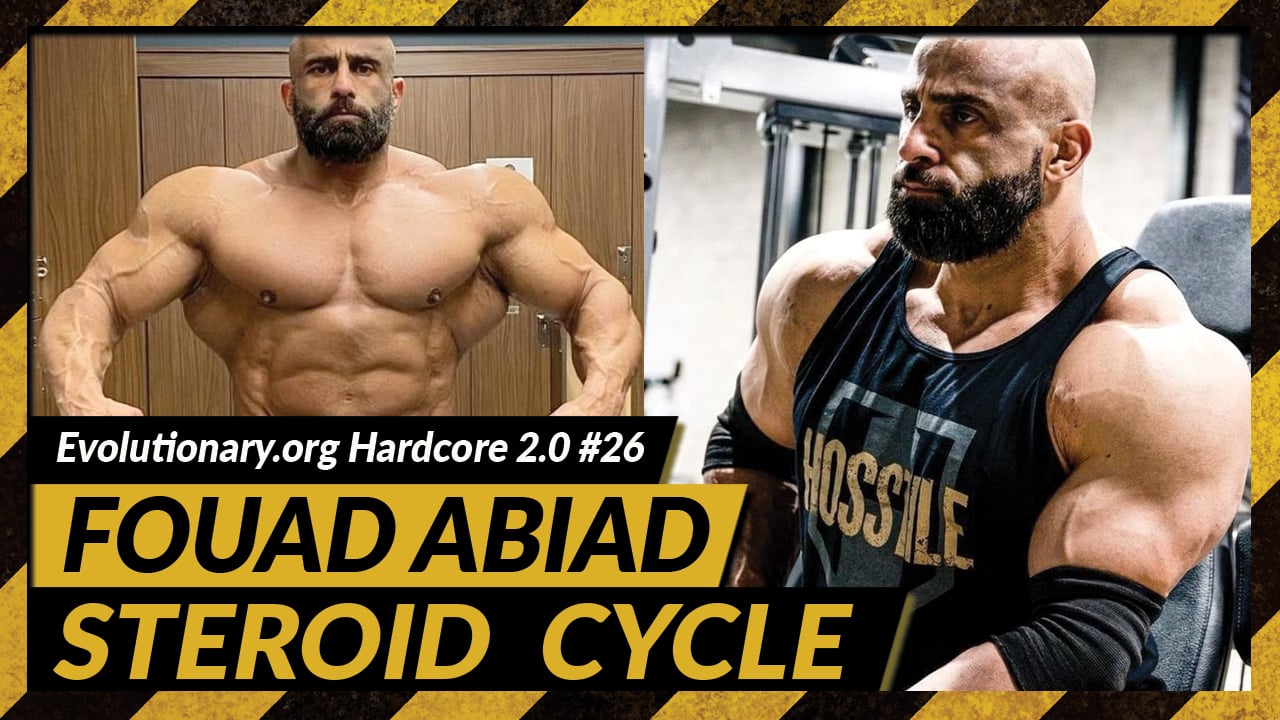 steroid cycle