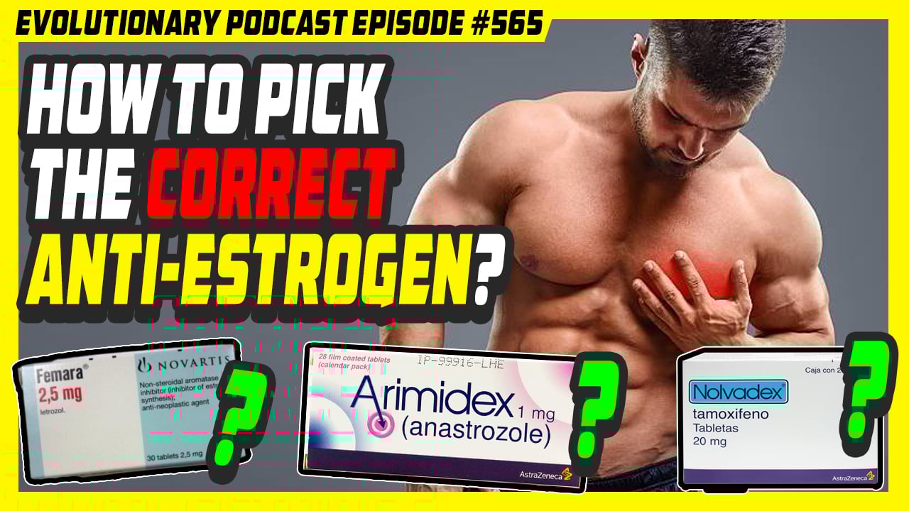 estrogen