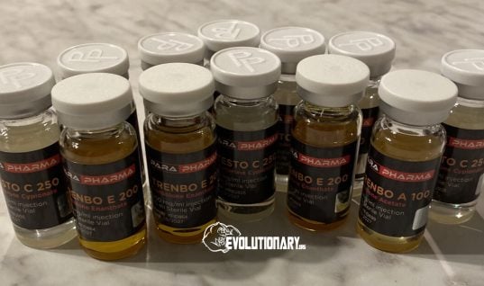 Shred with Anavar and Primobolan? Para Pharma part #2