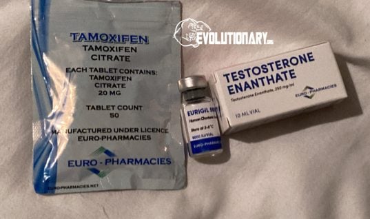 Best Injection sites for beginners and advanced? – Euro Pharma