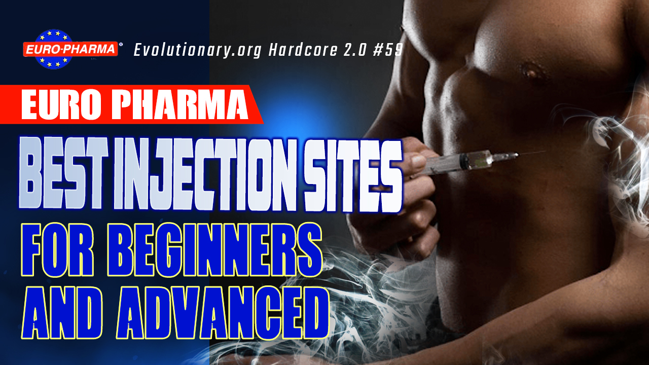 Evolutionary.org-Hardcore-2.0-59-Best-Injection-sites-for-beginners-and-advanced-Euro-Pharma.jpg