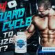 supplements