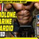 Trenbolone