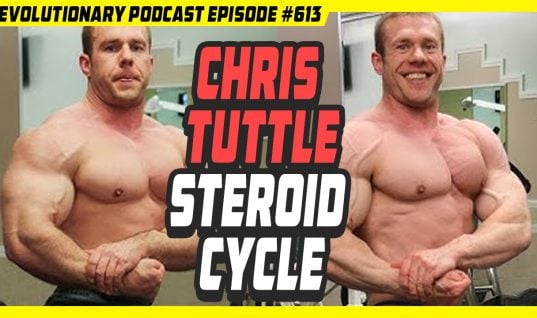 steroid cycle
