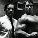Top 10 Mr. Olympia steroid use by Euro Pharma