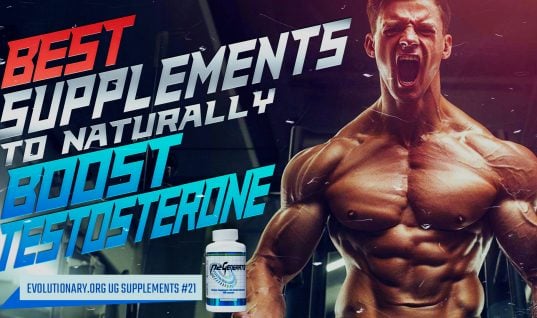testosterone