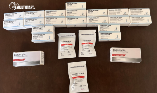Model your bodybuilding goals – The benefits By Euro Pharma