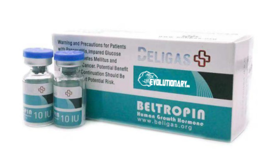 Top steroid cycles for those 50+ years Presented by Beligas