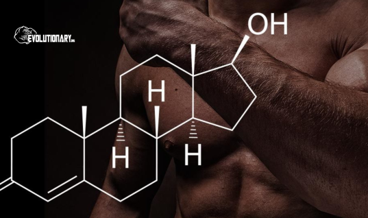 How to utilize Testosterone in a cycle by Pharmaqo