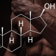 How to utilize Testosterone in a cycle by Pharmaqo